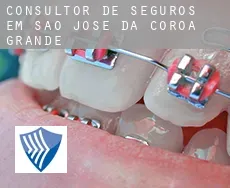 Consultor de seguros em  São José da Coroa Grande