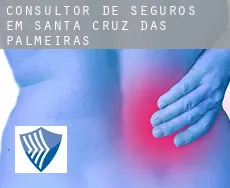 Consultor de seguros em  Santa Cruz das Palmeiras