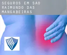 Seguros em  São Raimundo das Mangabeiras