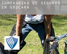 Companhias de seguros em  Urucará