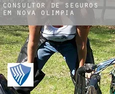 Consultor de seguros em  Nova Olímpia
