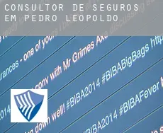 Consultor de seguros em  Pedro Leopoldo