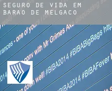 Seguro de vida em  Barão de Melgaço