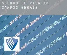 Seguro de vida em  Campos Gerais