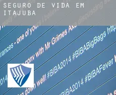 Seguro de vida em  Itajubá