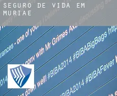 Seguro de vida em Muriaé