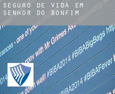 Seguro de vida em  Senhor do Bonfim