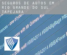 Seguros de autos em  Tapejara (Rio Grande do Sul)