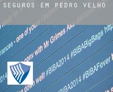 Seguros em  Pedro Velho