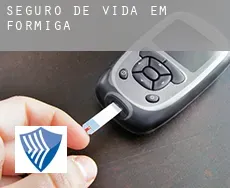 Seguro de vida em  Formiga