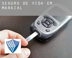 Seguro de vida em  Maraial