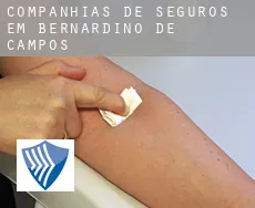 Companhias de seguros em  Bernardino de Campos