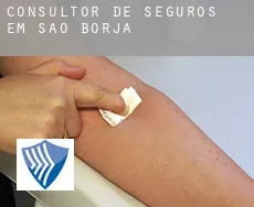 Consultor de seguros em  São Borja