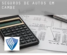 Seguros de autos em  Cambé