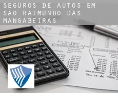 Seguros de autos em  São Raimundo das Mangabeiras