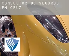Consultor de seguros em  Cruz
