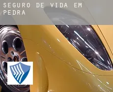 Seguro de vida em  Pedra