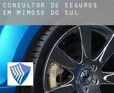 Consultor de seguros em  Mimoso do Sul