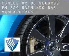 Consultor de seguros em  São Raimundo das Mangabeiras