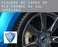 Seguros de carro em  Tapejara (Rio Grande do Sul)