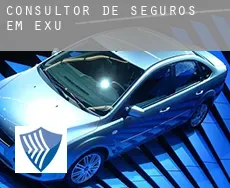 Consultor de seguros em  Exu