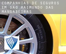Companhias de seguros em  São Raimundo das Mangabeiras