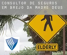Consultor de seguros em  Brejo da Madre de Deus