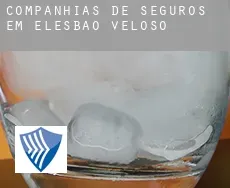 Companhias de seguros em  Elesbão Veloso
