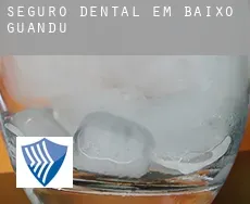 Seguro dental em  Baixo Guandu