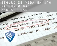 Seguro de vida em  São Raimundo das Mangabeiras