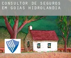 Consultor de seguros em  Hidrolândia (Goiás)