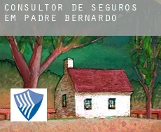 Consultor de seguros em  Padre Bernardo