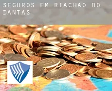 Seguros em  Riachão do Dantas