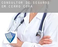 Consultor de seguros em  Cerro Corá