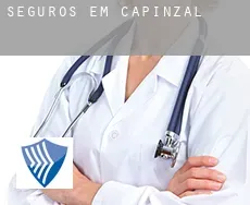 Seguros em  Capinzal