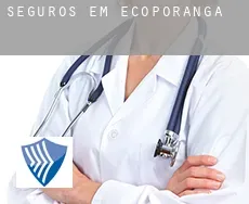 Seguros em  Ecoporanga
