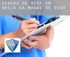 Seguro de vida em  Brejo da Madre de Deus