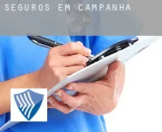 Seguros em  Campanha