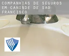 Companhias de seguros em  Canindé de São Francisco