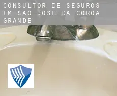 Consultor de seguros em  São José da Coroa Grande