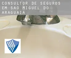 Consultor de seguros em  São Miguel do Araguaia