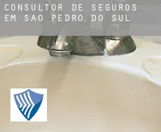 Consultor de seguros em  São Pedro do Sul