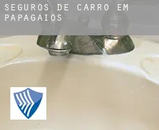 Seguros de carro em  Papagaios