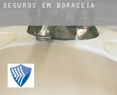 Seguros em  Boracéia