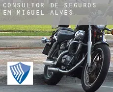 Consultor de seguros em  Miguel Alves