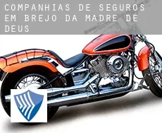 Companhias de seguros em  Brejo da Madre de Deus