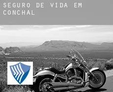 Seguro de vida em Conchal