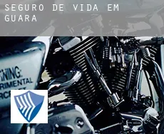 Seguro de vida em  Guará