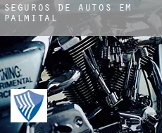 Seguros de autos em Palmital