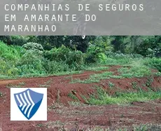 Companhias de seguros em  Amarante do Maranhão